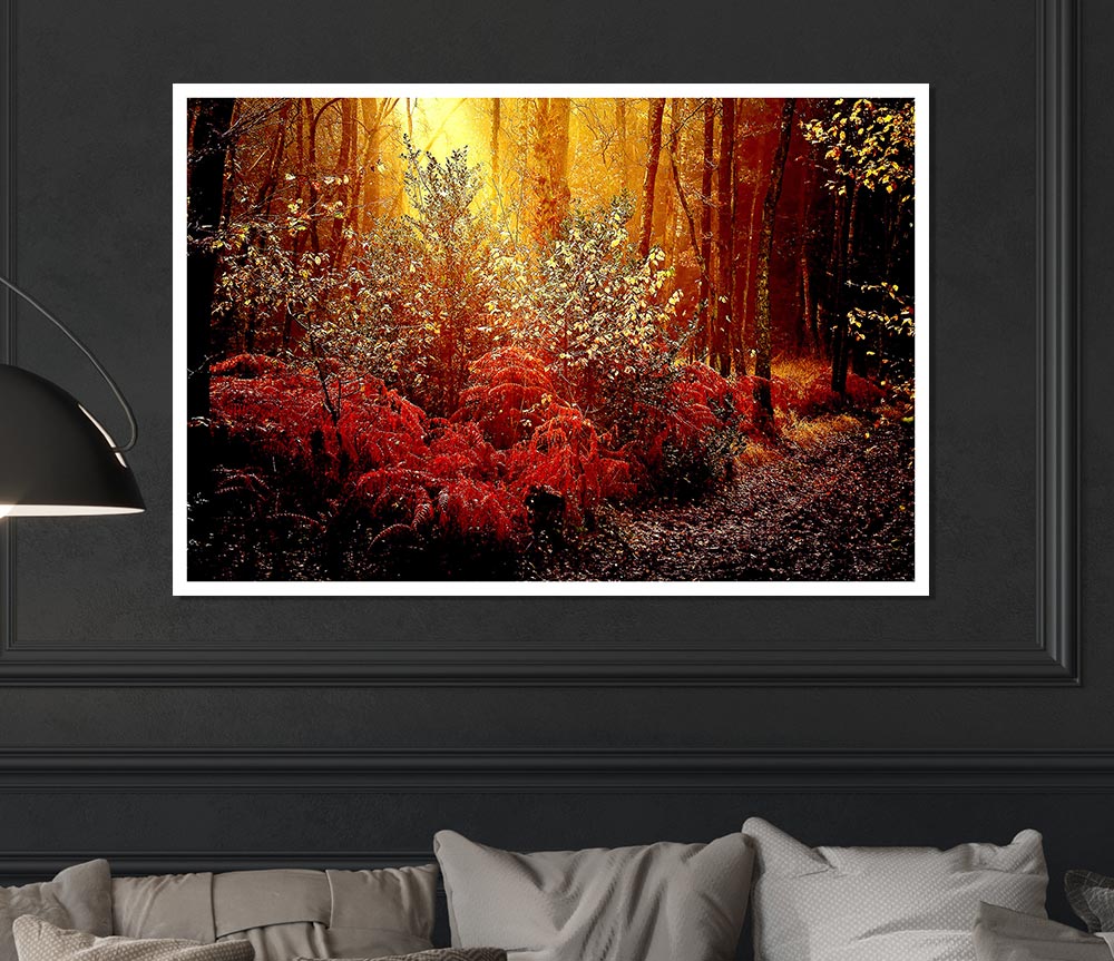 Autumn Forest Print Poster Wall Art