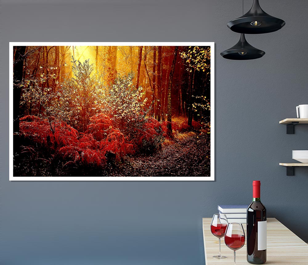 Autumn Forest Print Poster Wall Art