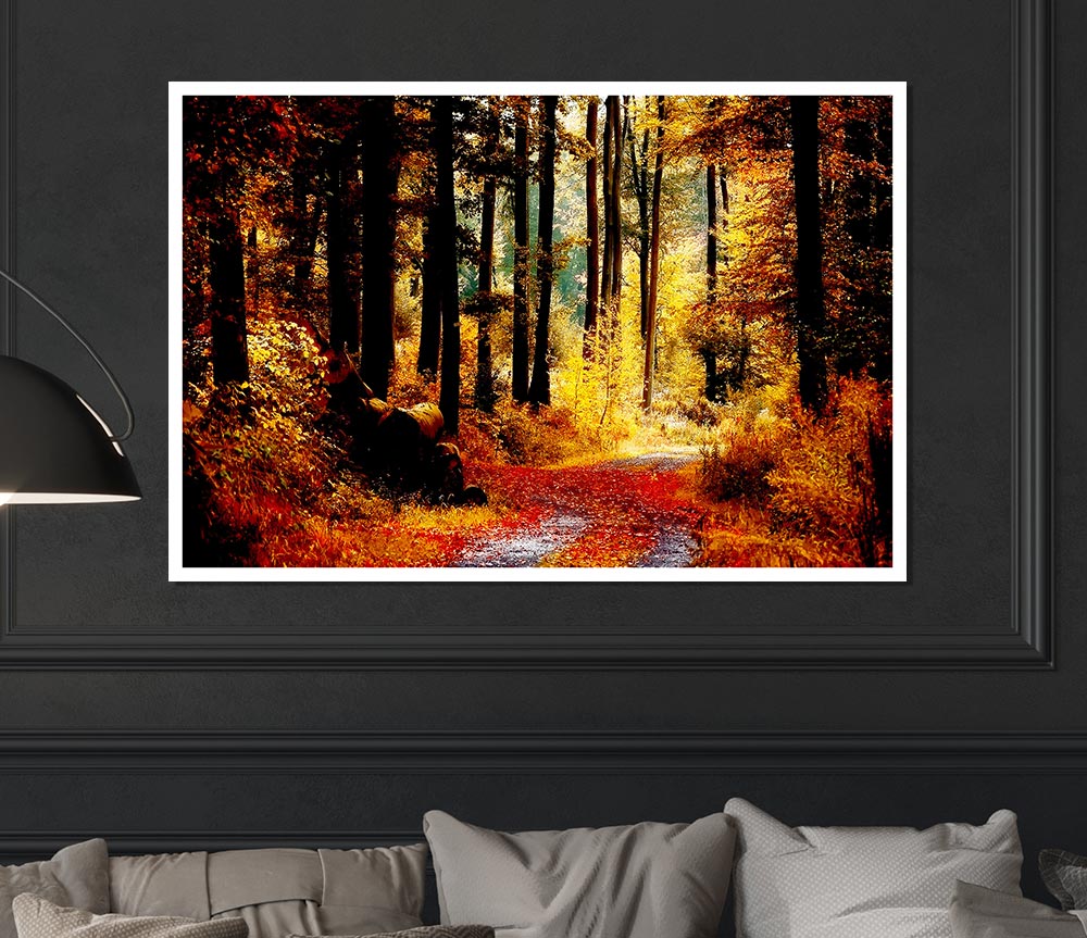 Forest Autumn Path Print Poster Wall Art