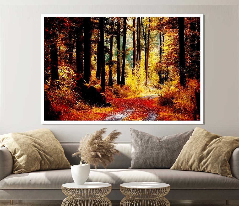 Forest Autumn Path Print Poster Wall Art