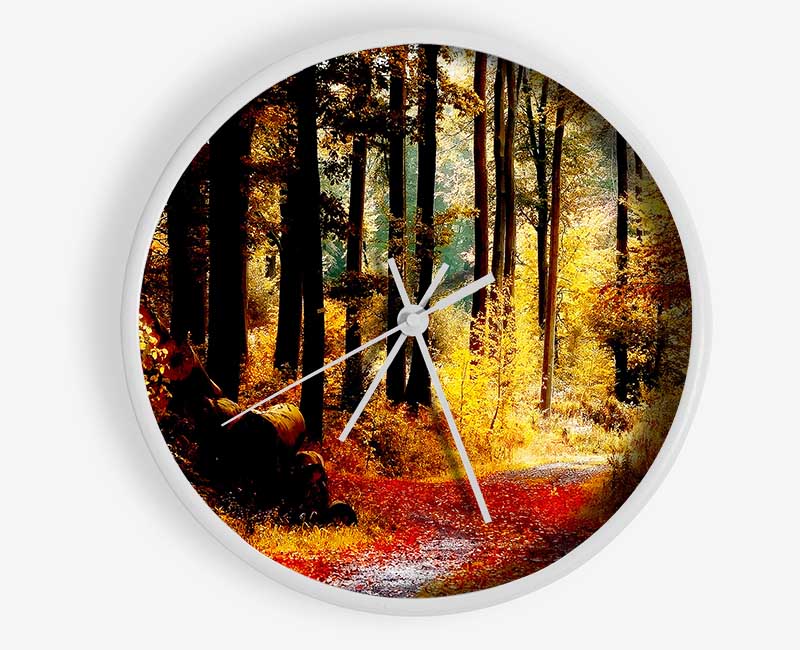 Forest Autumn Path Clock - Wallart-Direct UK