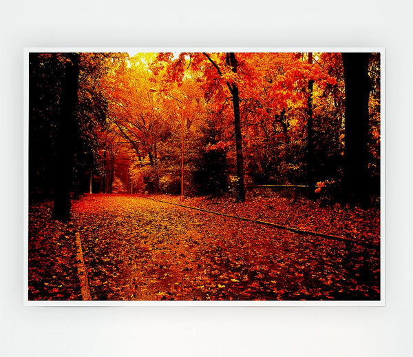 Fall In The Orange Forest Print Poster Wall Art