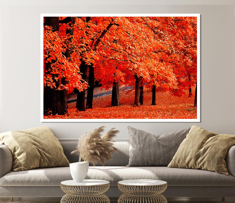 Beautiful Autumn Orange Leaves Print Poster Wall Art