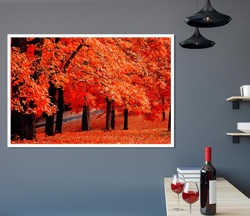 Beautiful Autumn Orange Leaves Print Poster Wall Art