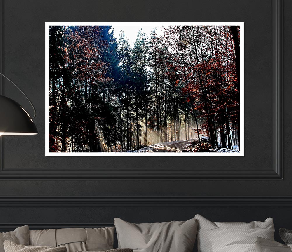 Forest Road In Winter Print Poster Wall Art