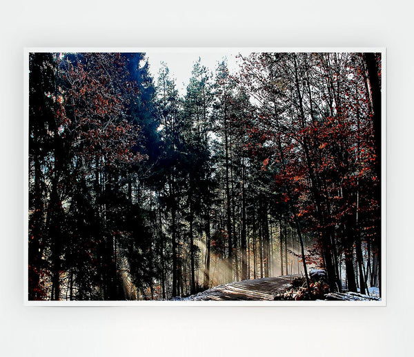 Forest Road In Winter Print Poster Wall Art