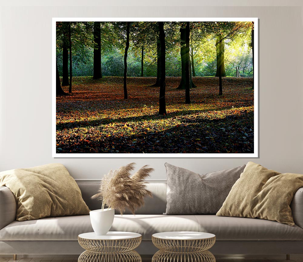 Autumn Light Print Poster Wall Art