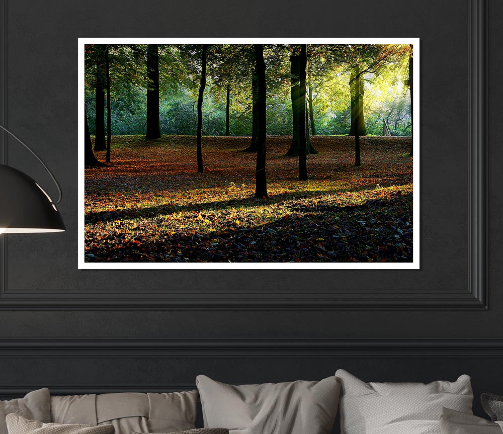 Autumn Light Print Poster Wall Art