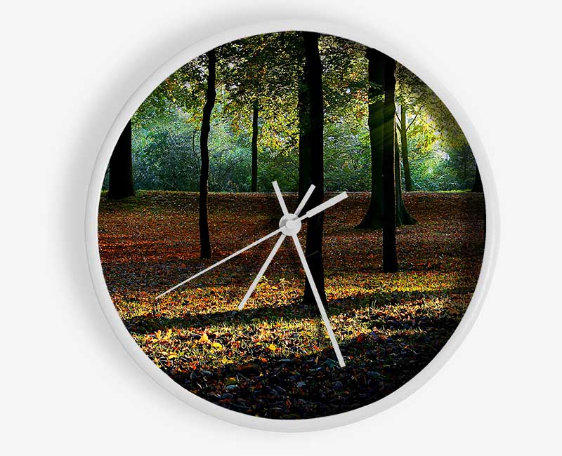 Autumn Light Clock - Wallart-Direct UK