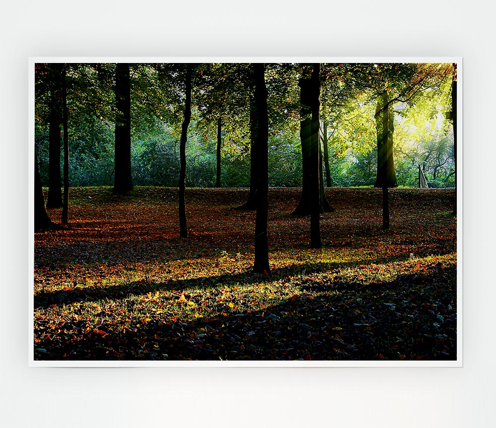 Autumn Light Print Poster Wall Art