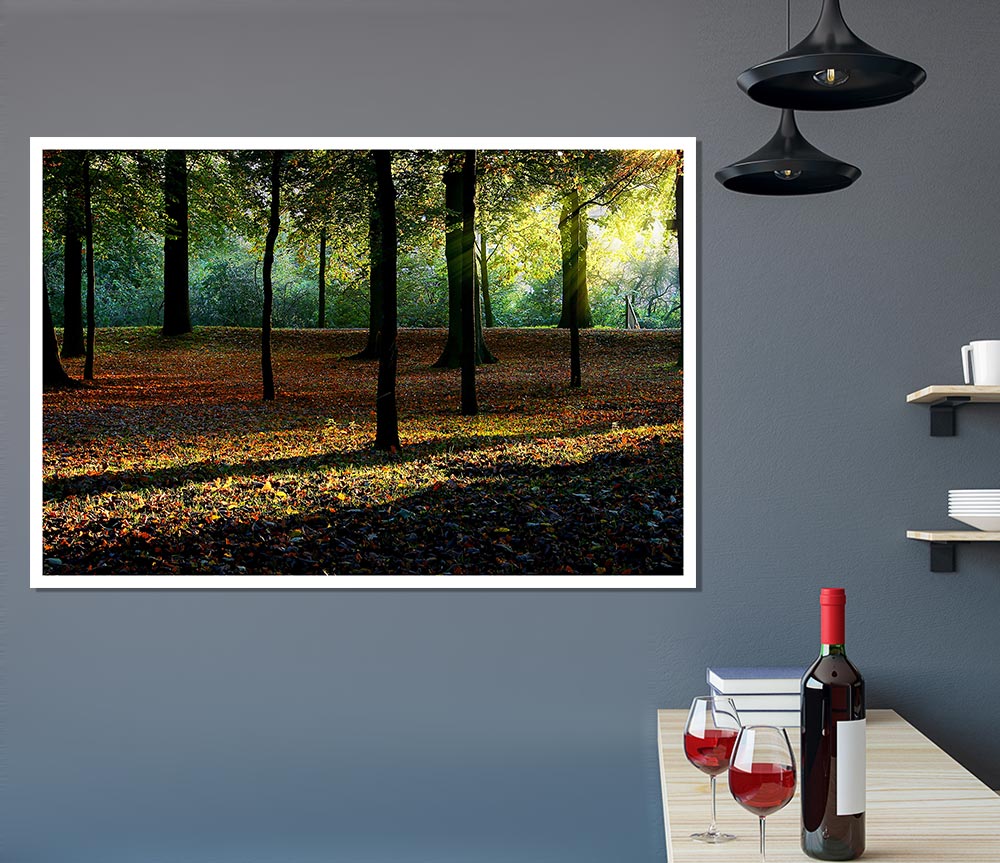 Autumn Light Print Poster Wall Art