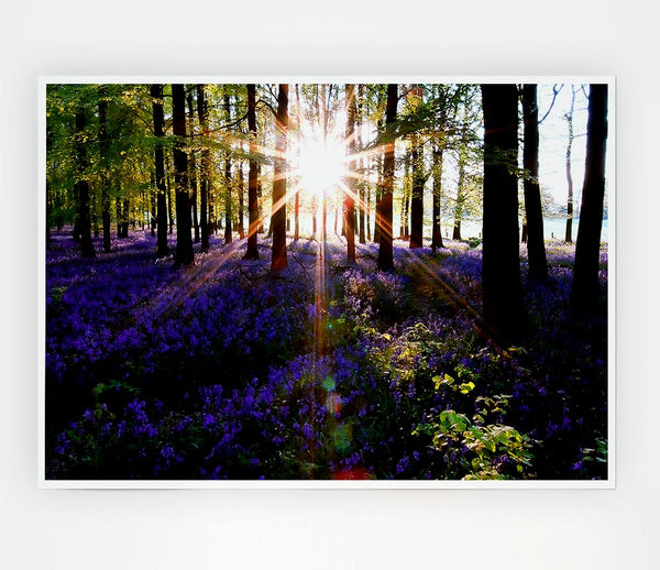 Forest Sun God Print Poster Wall Art