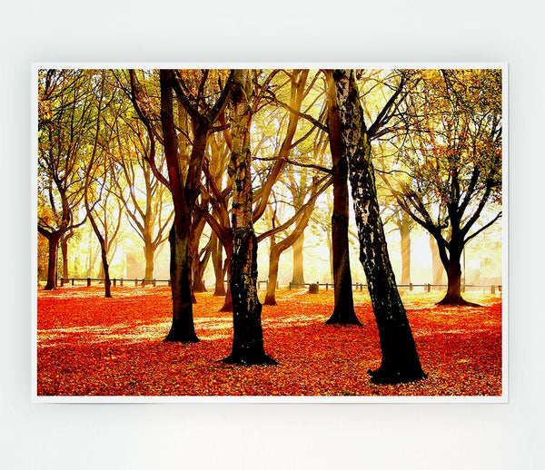 Warm Sunlight Print Poster Wall Art