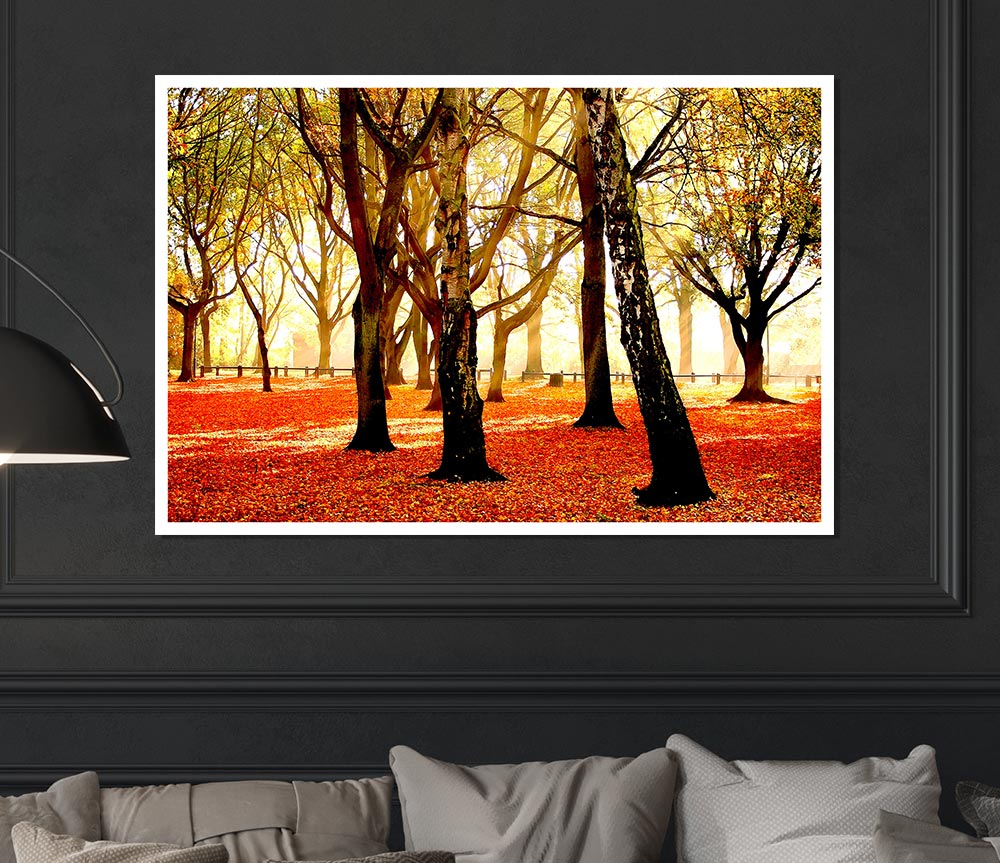 Warm Sunlight Print Poster Wall Art