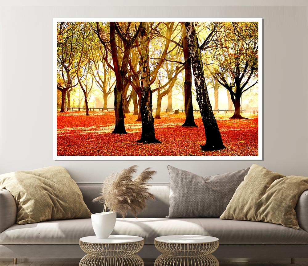 Warm Sunlight Print Poster Wall Art