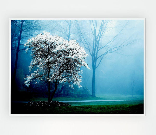 White Magnolia Tree Print Poster Wall Art