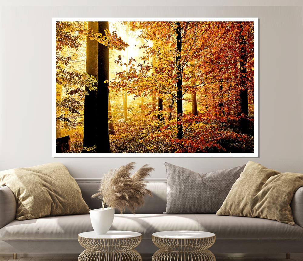 Beautiful Autumn Foliage Print Poster Wall Art