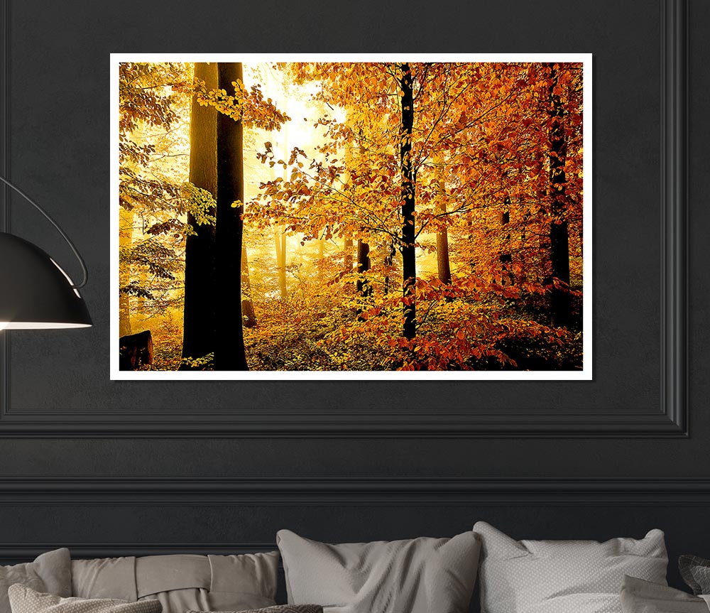 Beautiful Autumn Foliage Print Poster Wall Art