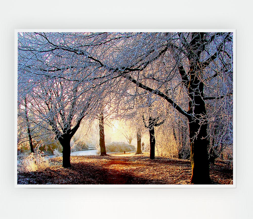 Beautiful Winter Light Print Poster Wall Art