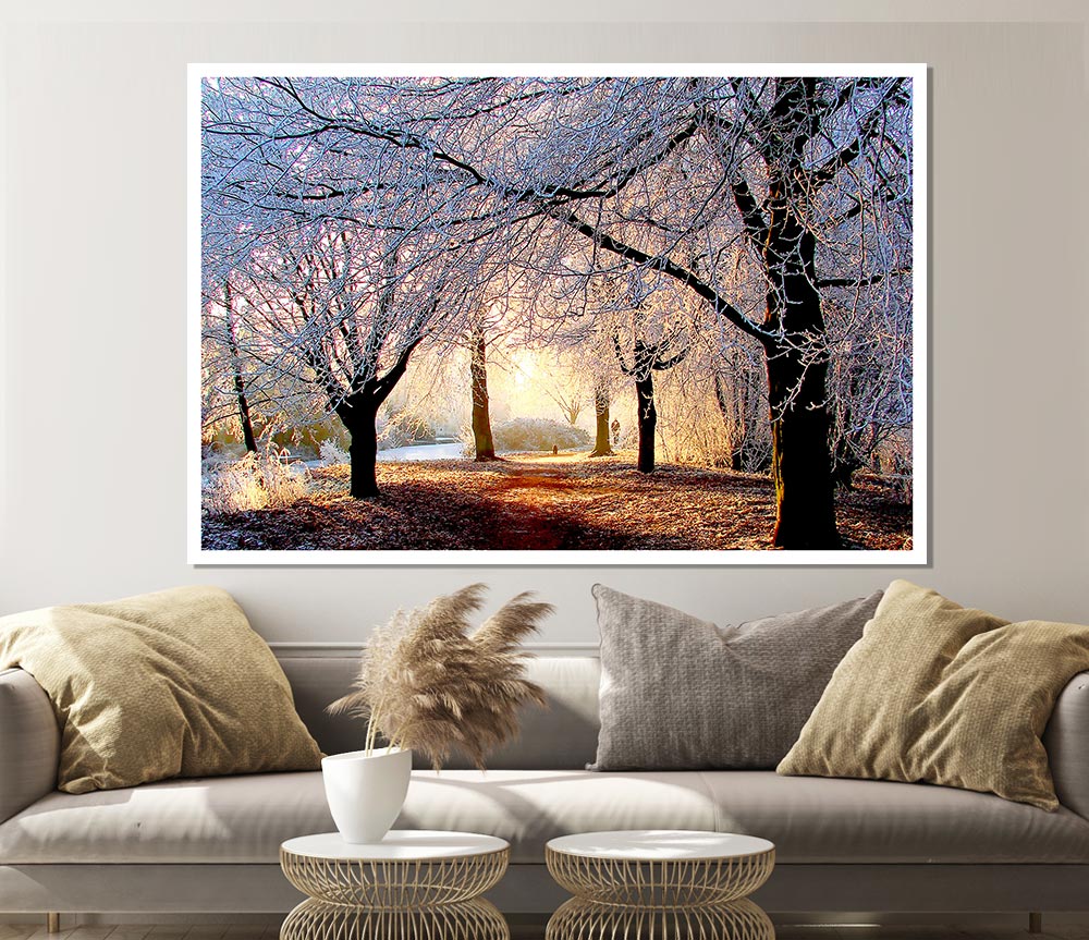 Beautiful Winter Light Print Poster Wall Art