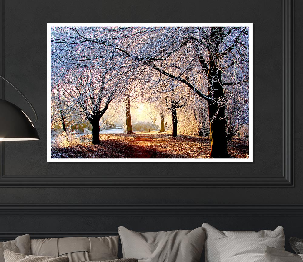 Beautiful Winter Light Print Poster Wall Art