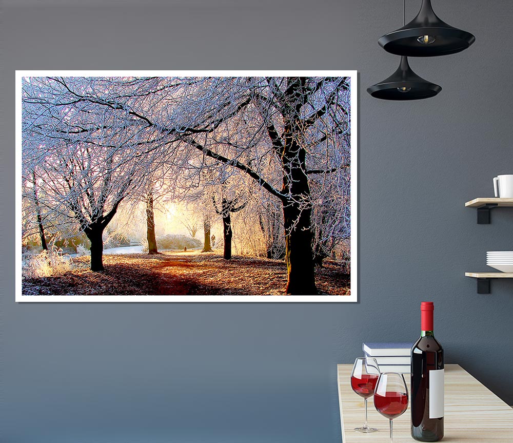 Beautiful Winter Light Print Poster Wall Art