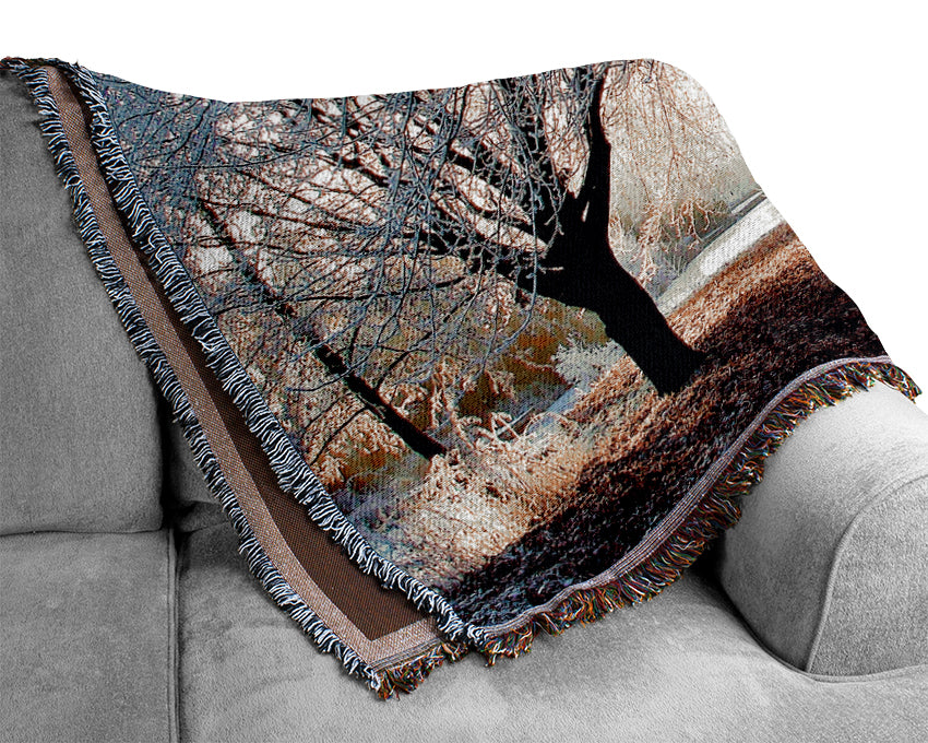 Beautiful Winter Light Woven Blanket