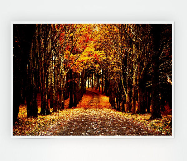 Late Autumn Print Poster Wall Art