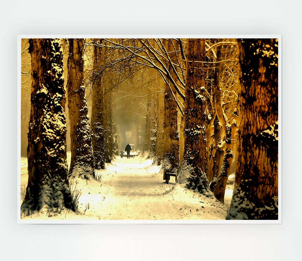 Beautiful Tree Passage Winter Print Poster Wall Art