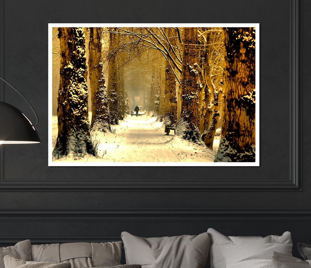 Beautiful Tree Passage Winter Print Poster Wall Art