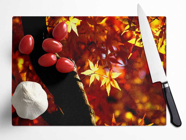 Tree Trunk Autumn Glass Chopping Board