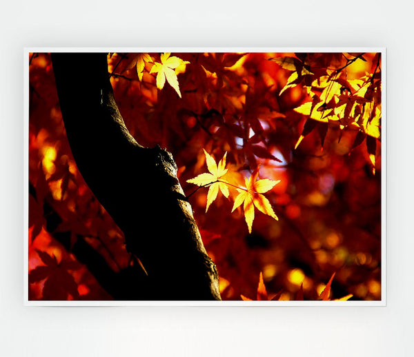 Tree Trunk Autumn Print Poster Wall Art