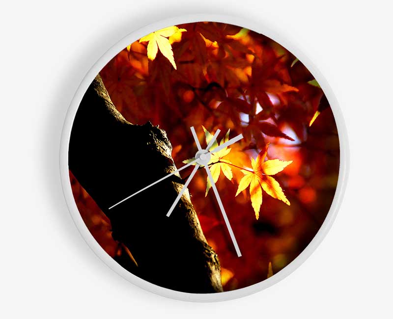 Tree Trunk Autumn Clock - Wallart-Direct UK