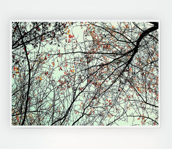 Trees In The Sky Print Poster Wall Art