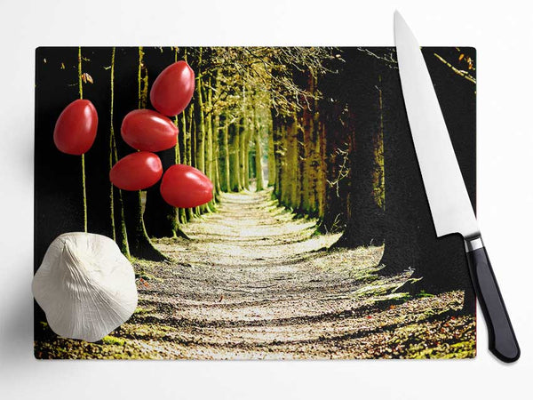 Tree Lined Path Glass Chopping Board