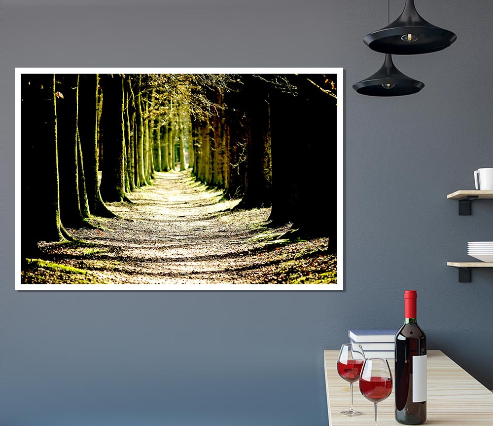 Tree Lined Path Print Poster Wall Art