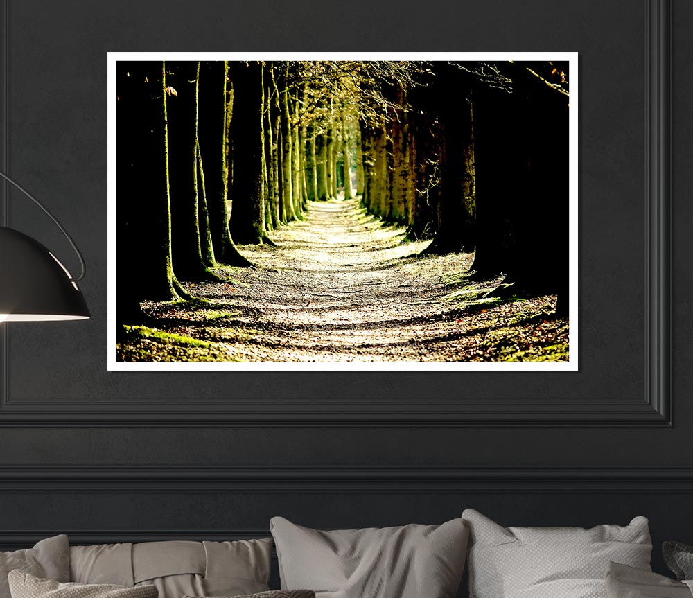 Tree Lined Path Print Poster Wall Art