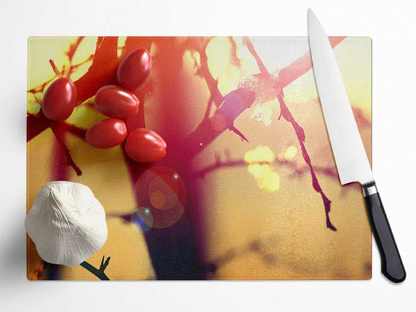 Winter Sunlight Glass Chopping Board