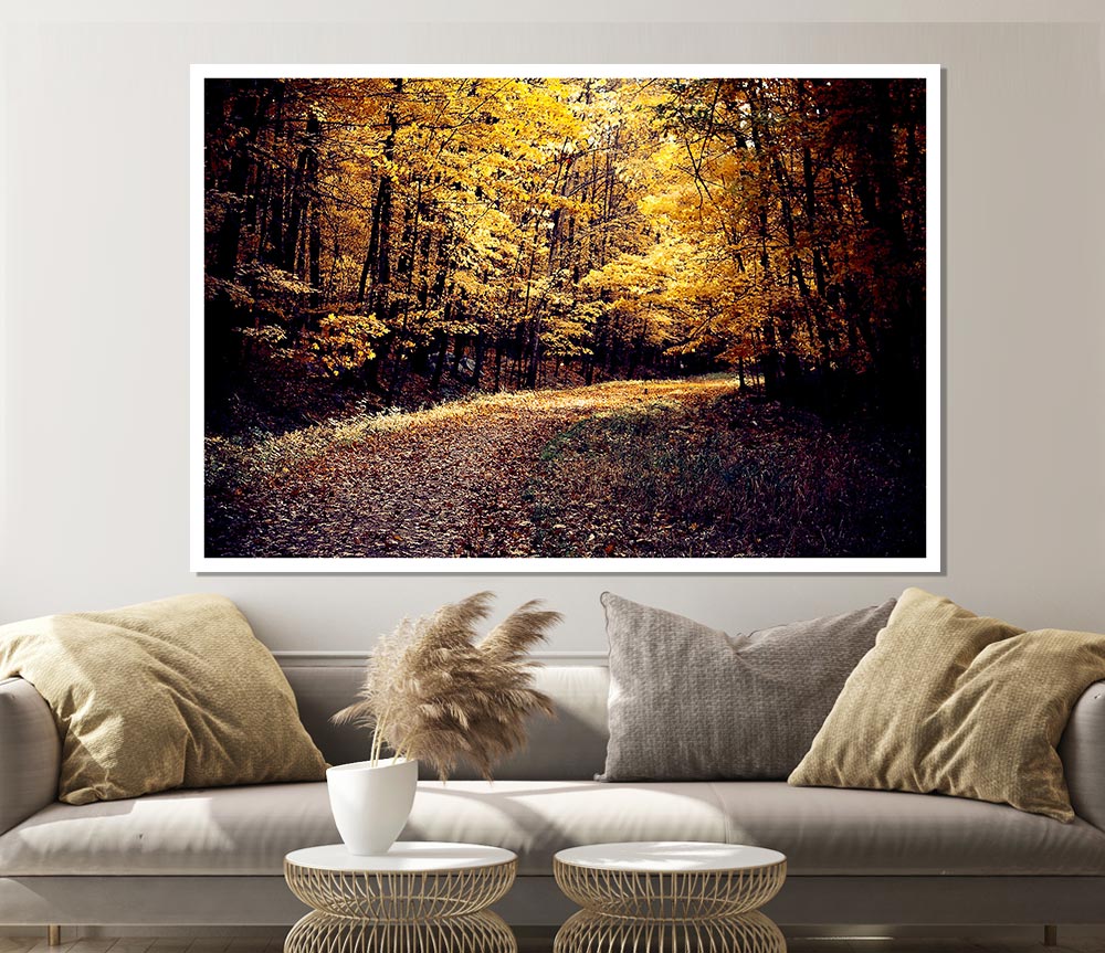 Forest Road Print Poster Wall Art