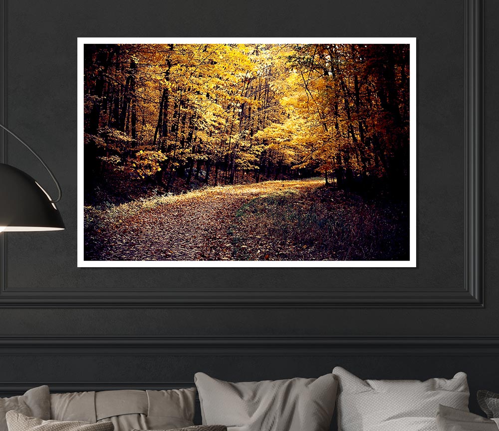 Forest Road Print Poster Wall Art