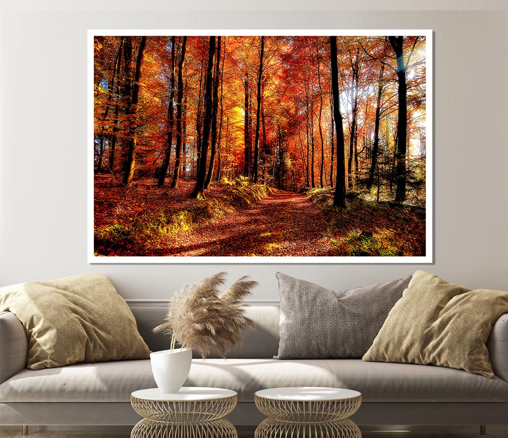 Fall Forest Path Print Poster Wall Art