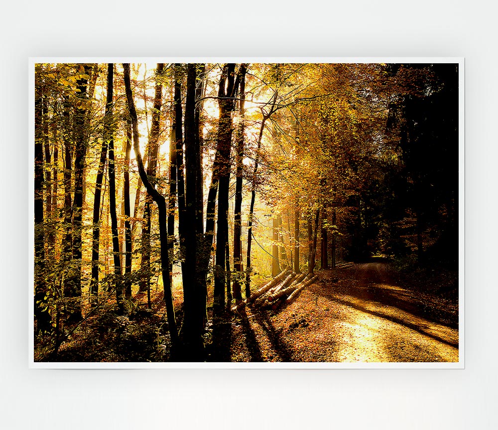 Beautiful Forest Road Autumn Print Poster Wall Art