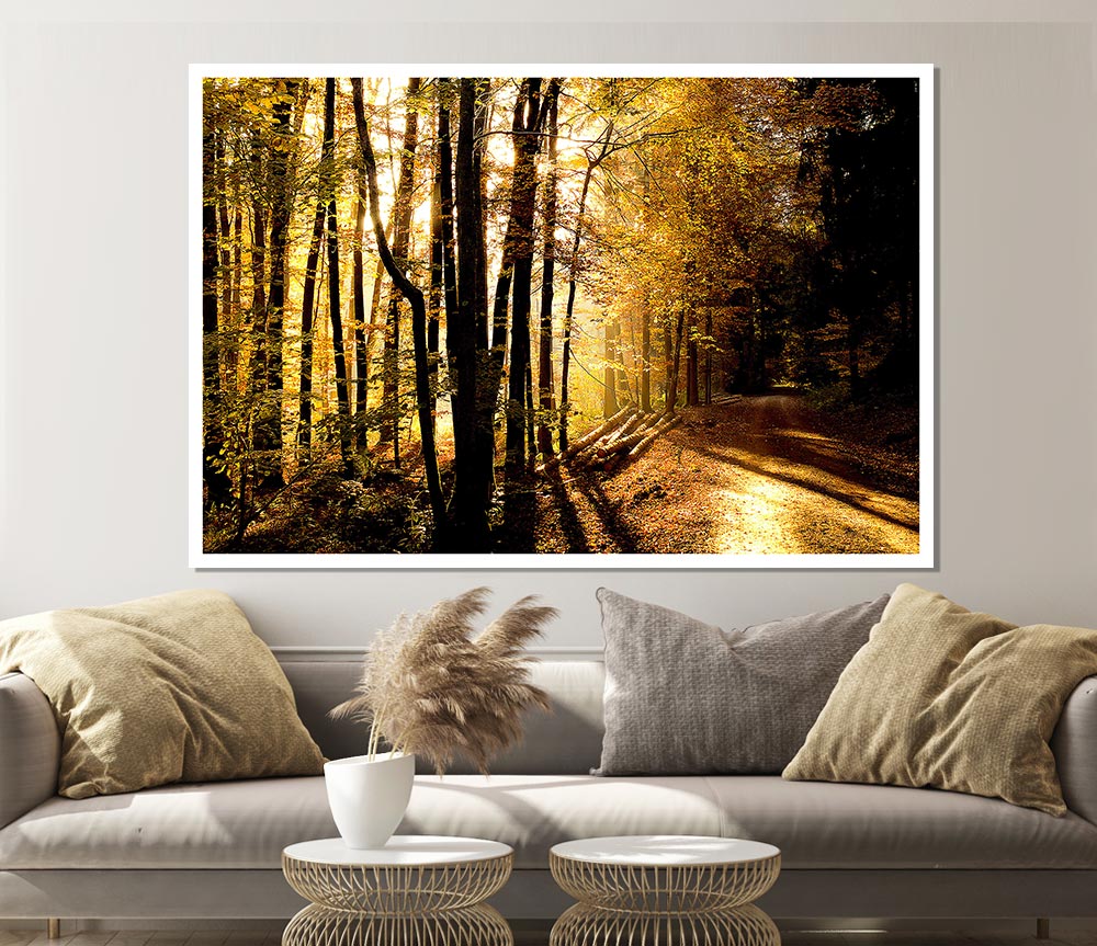 Beautiful Forest Road Autumn Print Poster Wall Art