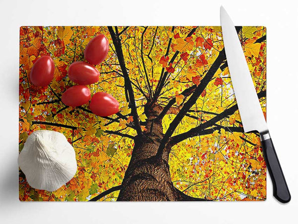 Yellow Autumn Tree Glass Chopping Board