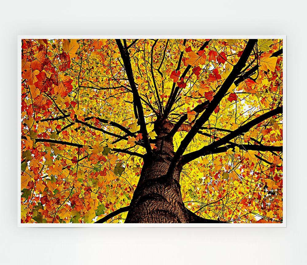 Yellow Autumn Tree Print Poster Wall Art