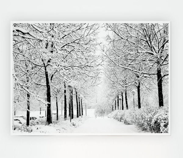 Winter In The Park Black And White Print Poster Wall Art