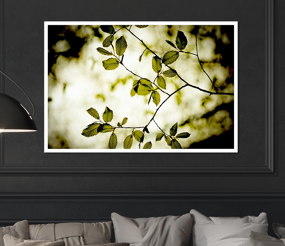 Twigs With Green Leaves Print Poster Wall Art