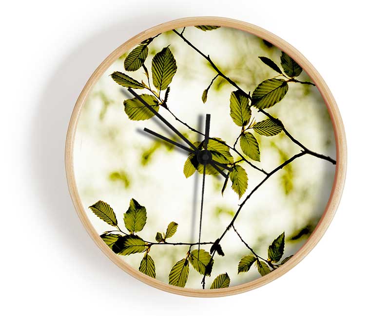 Twigs With Green Leaves Clock - Wallart-Direct UK