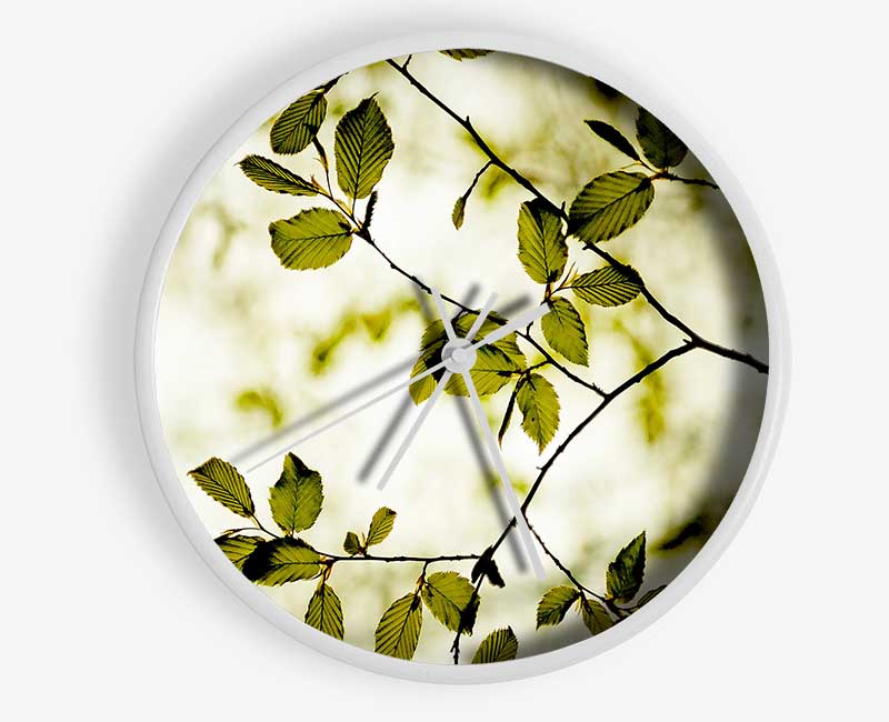 Twigs With Green Leaves Clock - Wallart-Direct UK