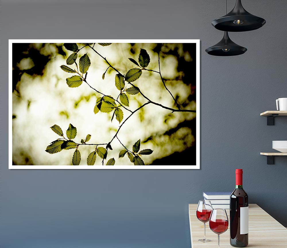 Twigs With Green Leaves Print Poster Wall Art